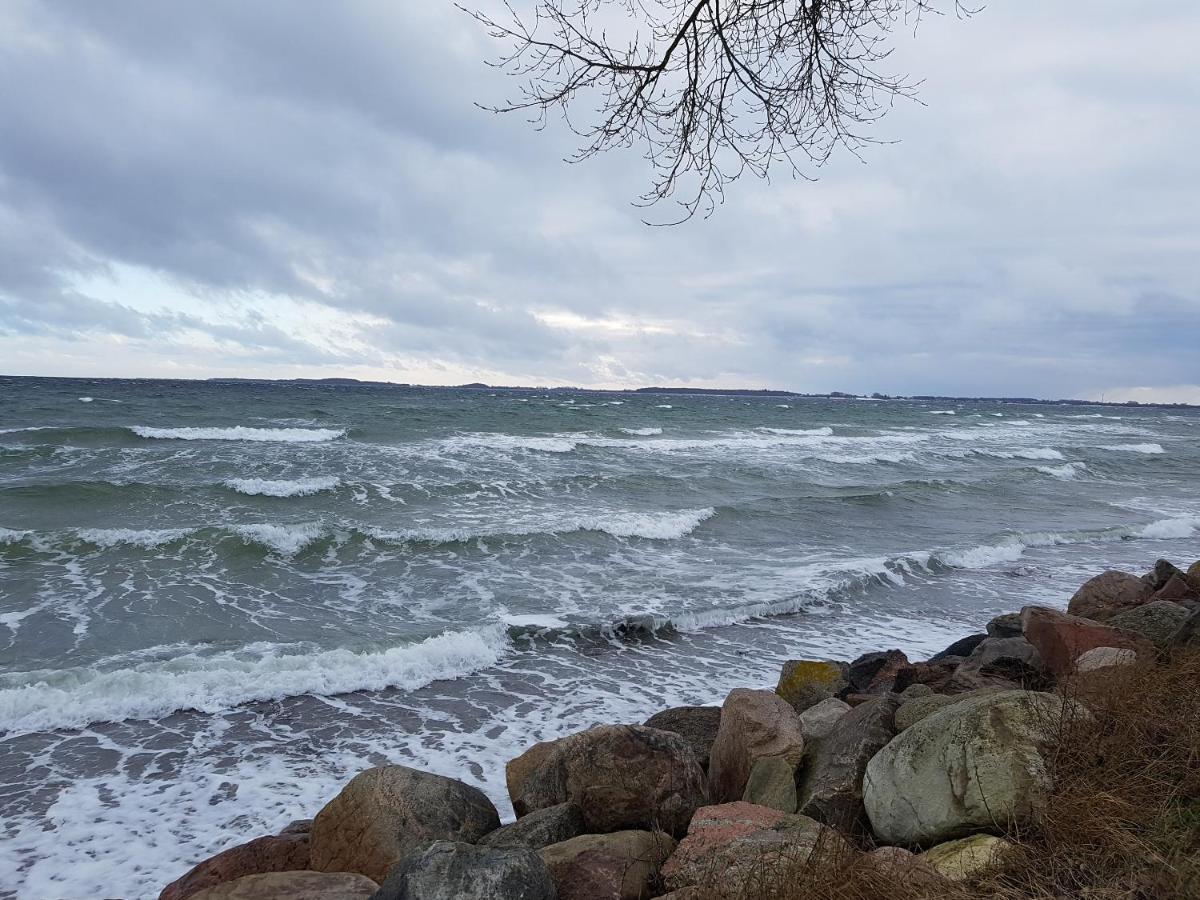 Strandappartement Steinberghaff "Zur Birk" Mit Meerblick Steinberg  Kültér fotó