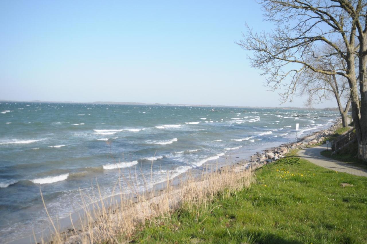 Strandappartement Steinberghaff "Zur Birk" Mit Meerblick Steinberg  Kültér fotó